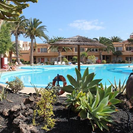 Apartment Papaya Dunes With Pool Corralejo By Holidays Home Kültér fotó
